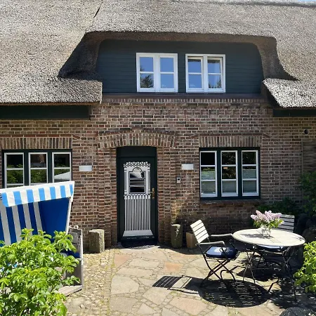 Kiebitz * Westerland